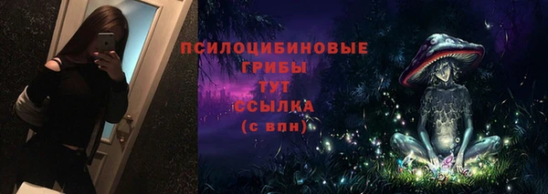 альфа пвп Куйбышев