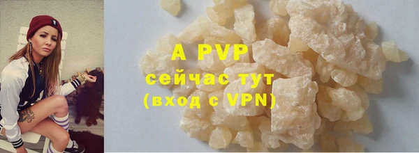шишки Кукмор