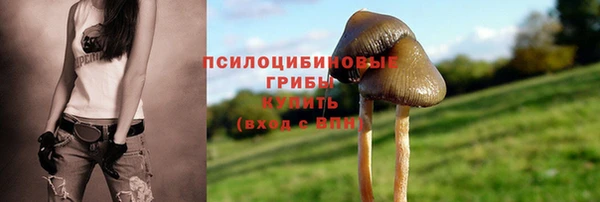 альфа пвп Куйбышев