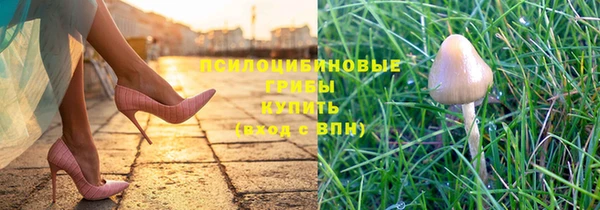 альфа пвп Куйбышев