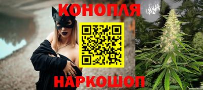 СК Дубна