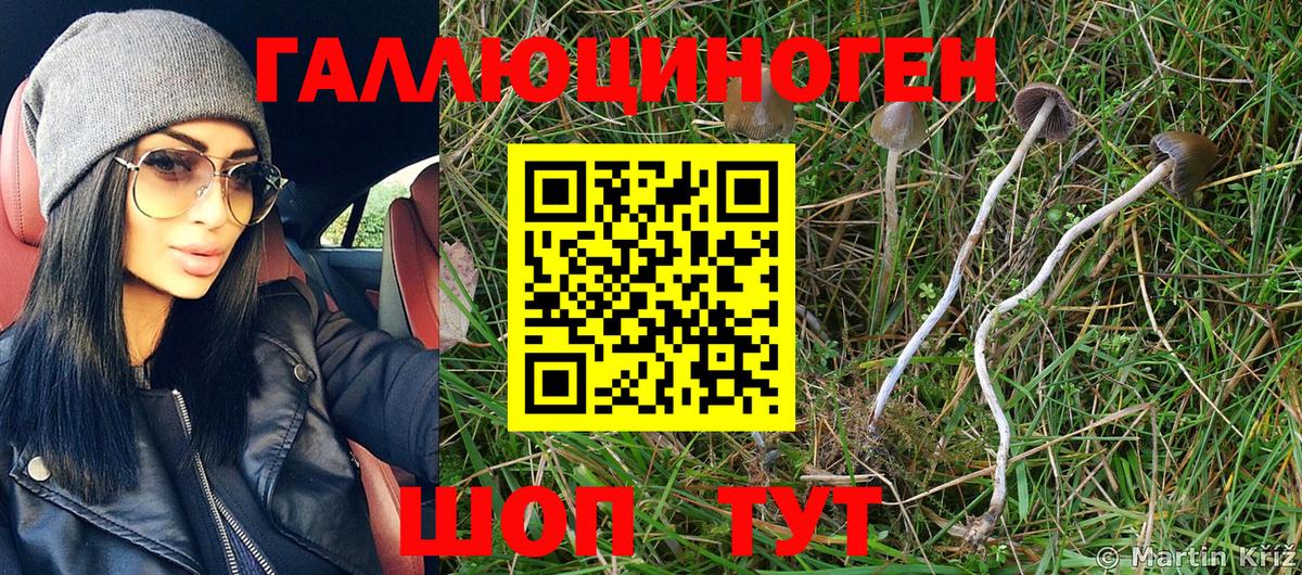 Галлюциногенные грибы прущие грибы  Псилоцибиновые грибы мицелий  Когалым 